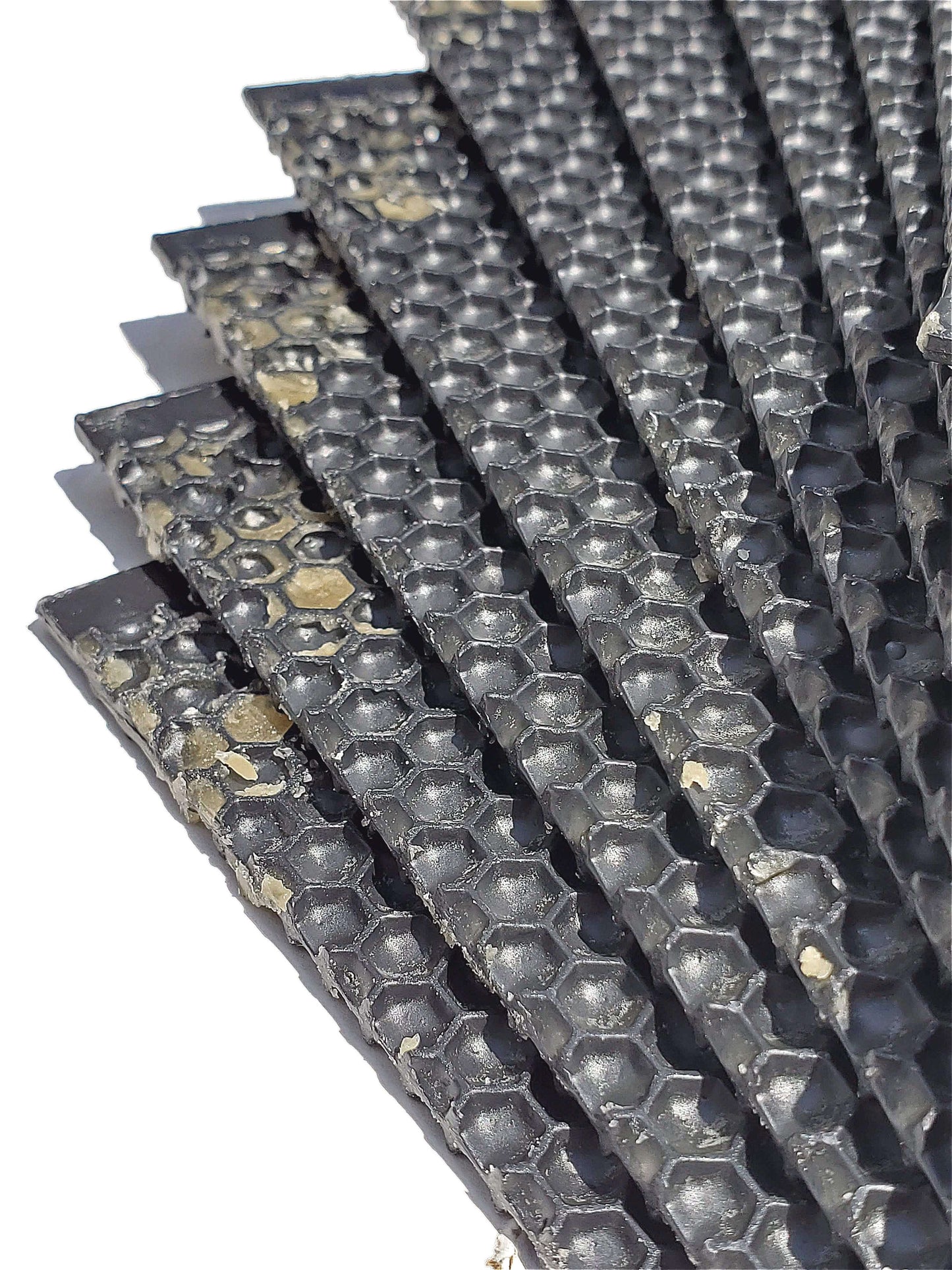 Deep, Black Plastic Foundation with Double Beeswax