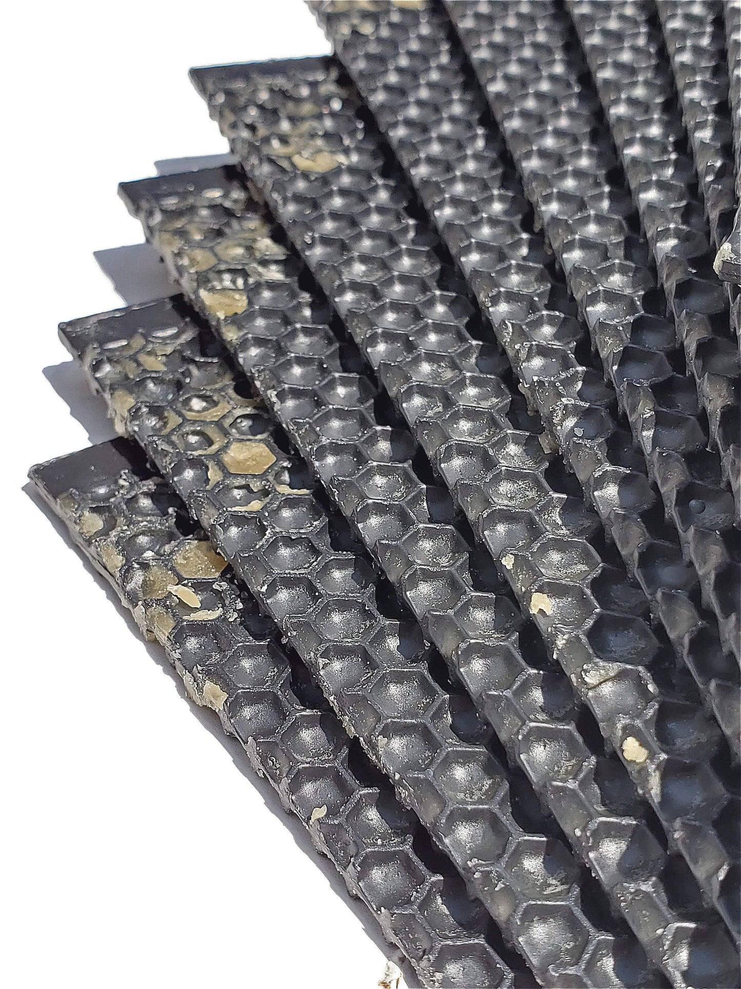 Medium, Black Plastic Foundation with Double Beeswax