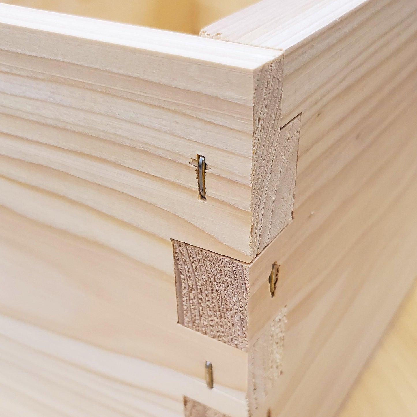 10-Frame Completed, Deep 9 5/8-inch Box with Frames and Foundation