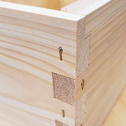 10-Frame Completed, Deep 9 5/8-inch Box with Frames and Foundation