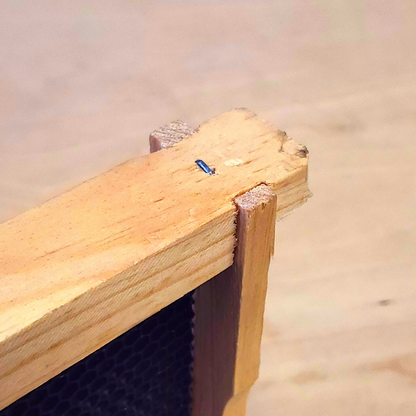 10-Frame Completed, Deep 9 5/8-inch Box with Frames and Foundation