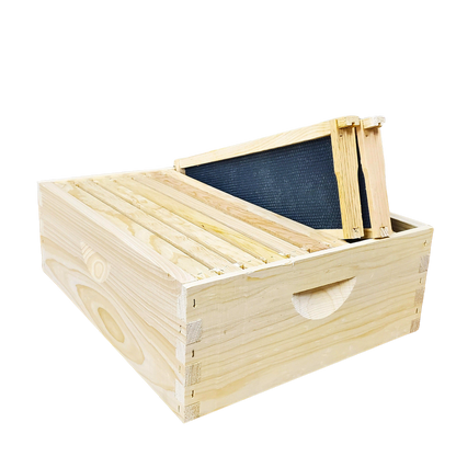 10-Frame Deep and Medium Box Hive Kit