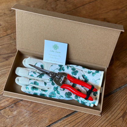 Garden Gift Box - Gloves and Needle Snips