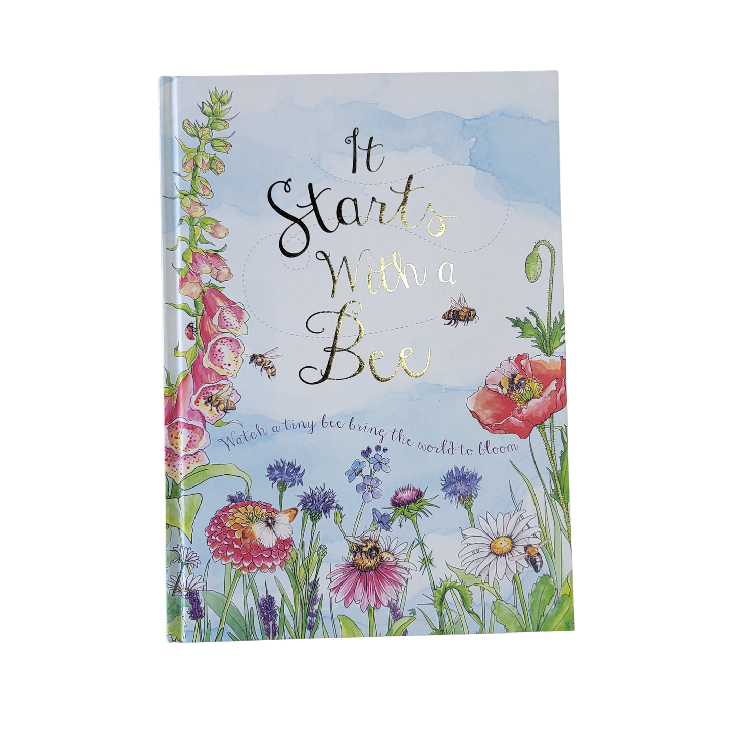 It Starts With A Bee Kids Book