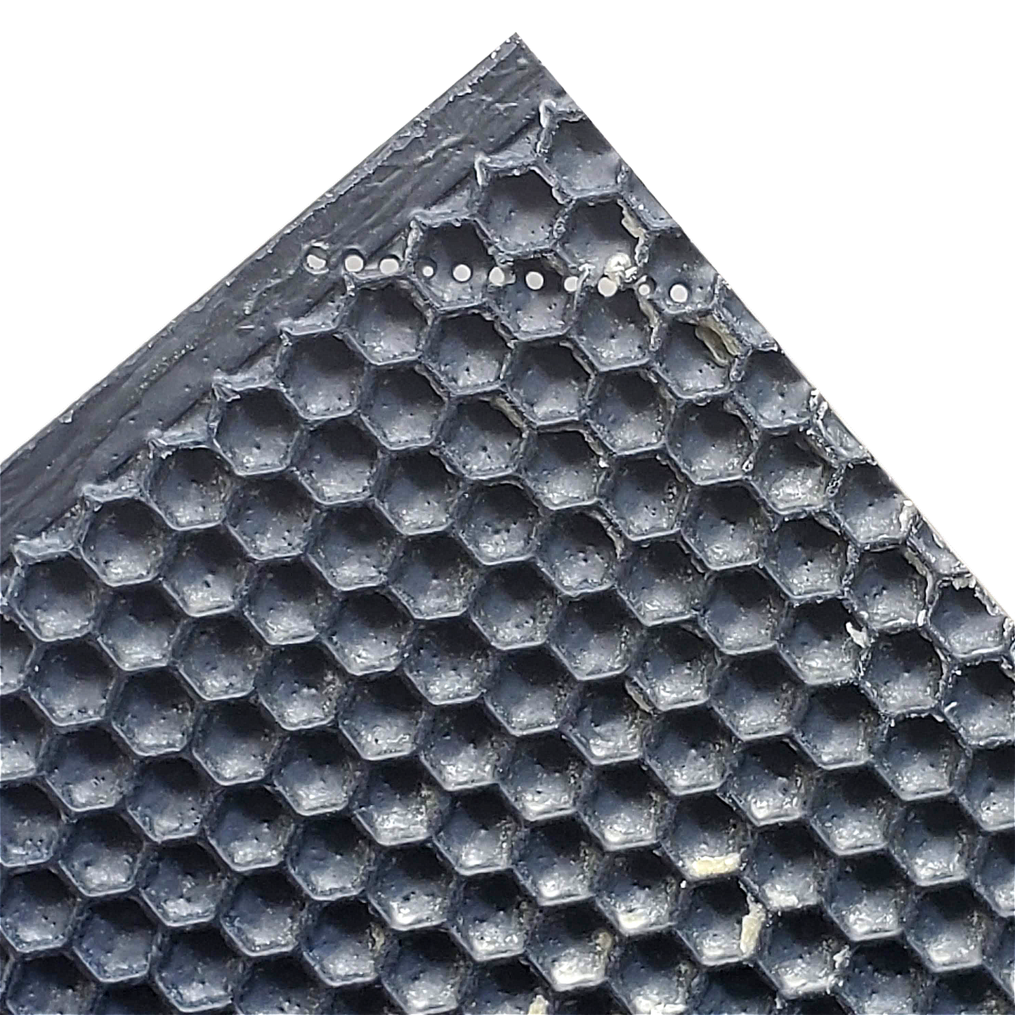 Medium, Black Plastic Foundation with Double Beeswax