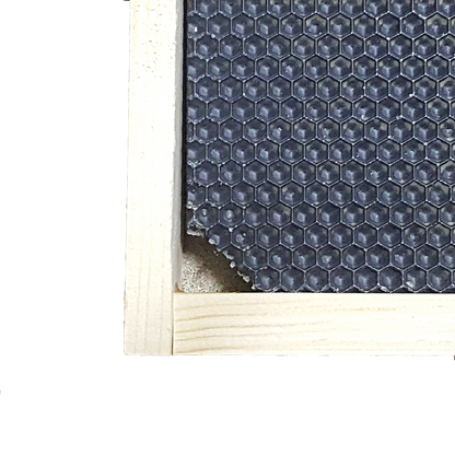 Medium, Black Plastic Foundation with Double Beeswax