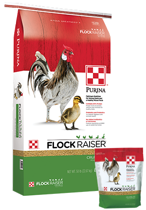 Purina® Flock Raiser® Crumbles 50 lbs