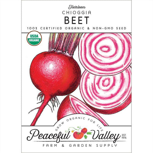 Chioggia Beet Seeds (Organic)