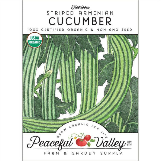 Striped Cucumber Seeds (Organic)