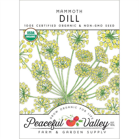 Mammoth Dill Seeds (Organic)